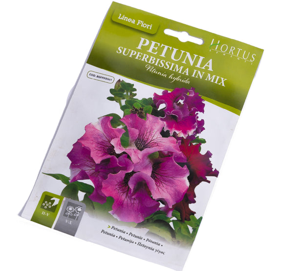 Petunia بذور البيتونيا