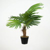48 X 68 X 80cm  Fan Palm Tree In Pot,5 Leaves(40X40X70CM)