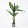 40 X 58 X 115cm  Birds Of Paradise Tree in Pot,12 Leaves(40X40X115CM)