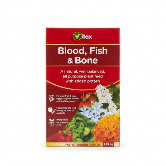 Blood Fish & Bon