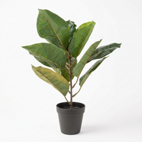 35  x 35 x 48cm  S-2 14x14x19 Elephant Leaf W-Plastic Pot(35x35x48CM)