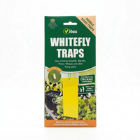 Whitefly Traps