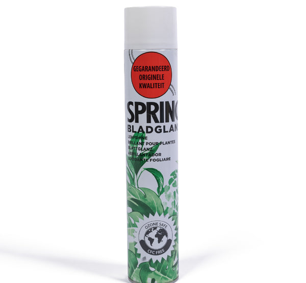 Spring Leaf Shine 600 Ml