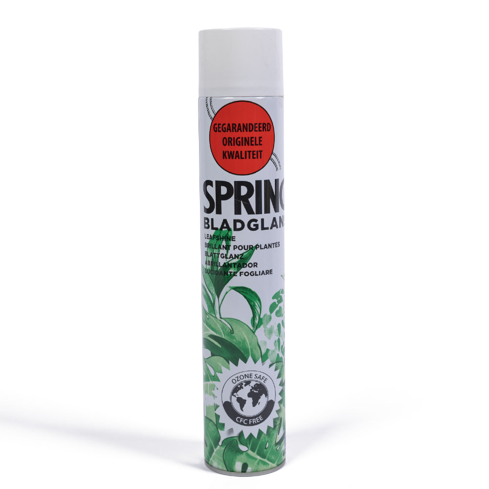 Spring Leaf Shine 600 Ml