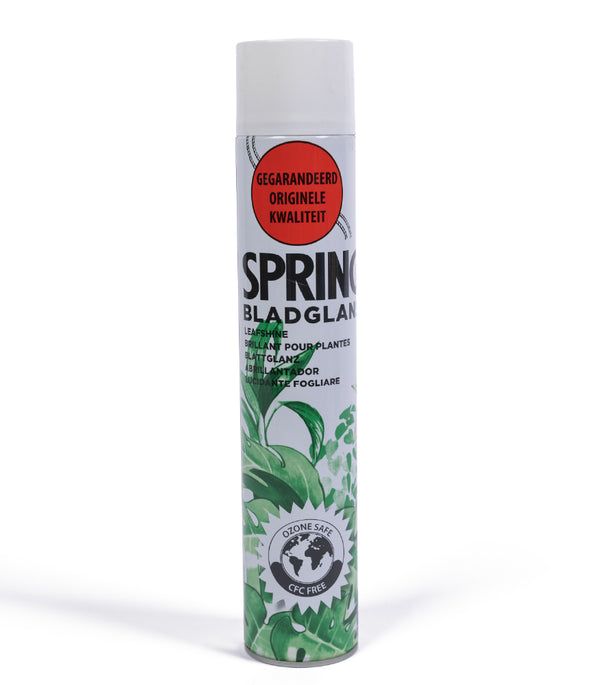 Spring Leaf Shine 600 Ml