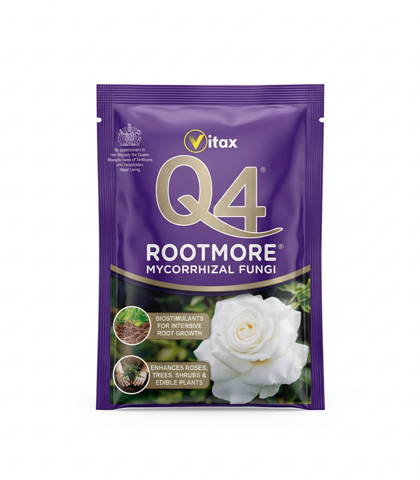 Q4 Rootmore Mycorrhizal
