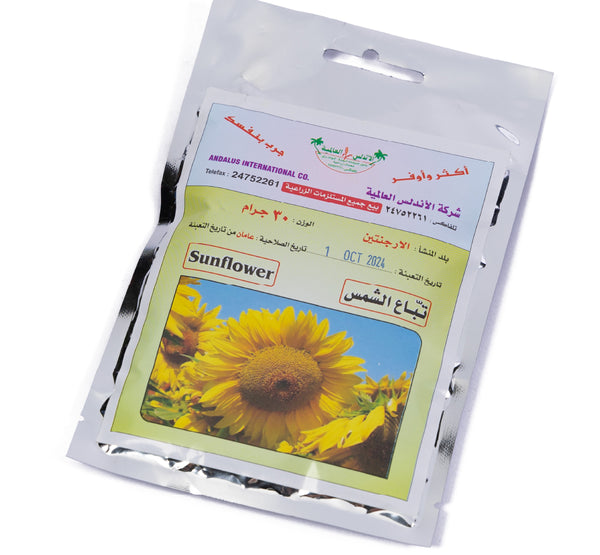 sunflower بذور تباع الشمس