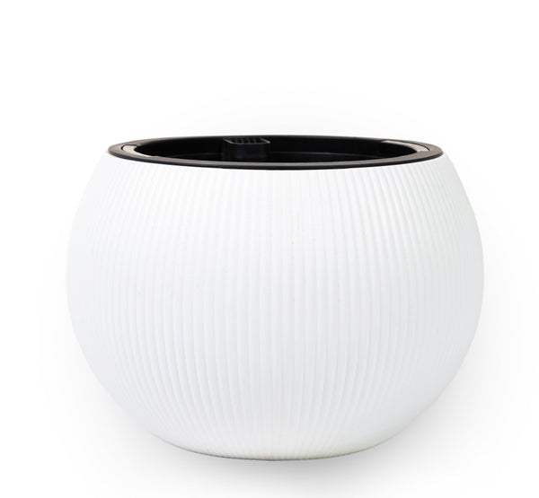 Round  ceramic pots in white color. احواض السيراميك الدائريه   بالون الابيض