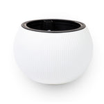 Round  ceramic pots in white color. احواض السيراميك الدائريه   بالون الابيض