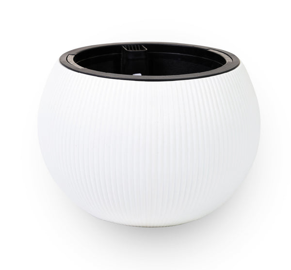 Round  ceramic pots in white color. احواض السيراميك الدائريه   بالون الابيض