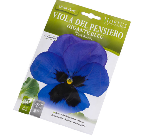 VIOLA DEL PENSIERO GIGANTE BLEU بذور زهرة فيولا ديل بينسييرو جيجانت بلو