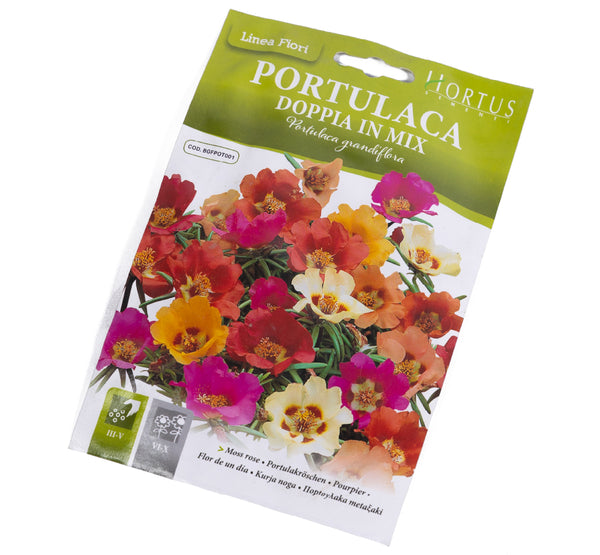 portulaca doppia in mix  بذور خليط البورتولاكا المزدوجة