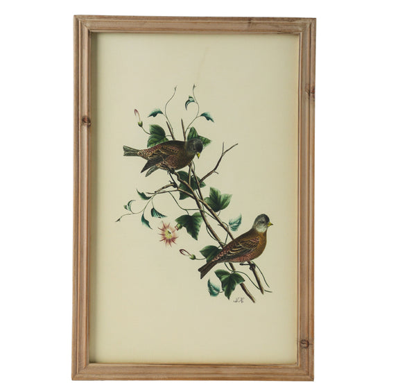 40 X 1.8 X 60cm  S-4 15.5x23.5 Bird Framed Print