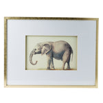 Elephant Pencil Drawings