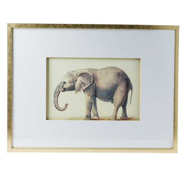 Elephant Pencil Drawings