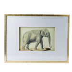 Elephant Pencil Drawings