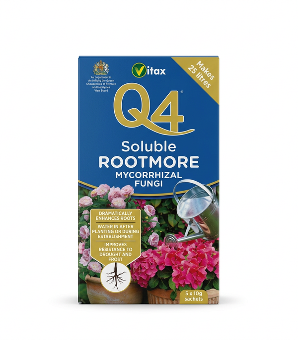 Q4 Rootmore Mycorrhizal
