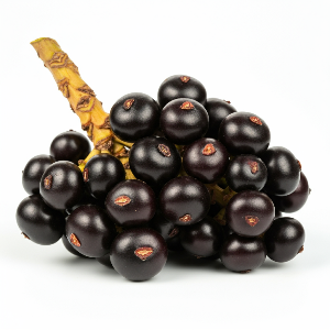 Acai Berries - BRS-Amapá - Ripe Berries - Count