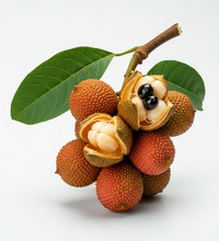 Ackee - Ackee Generic - Ripe Fruit - piece