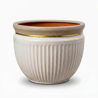 Gold Cream Ceramic Pot & Planter