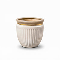 Gold Cream Ceramic Pot & Planter