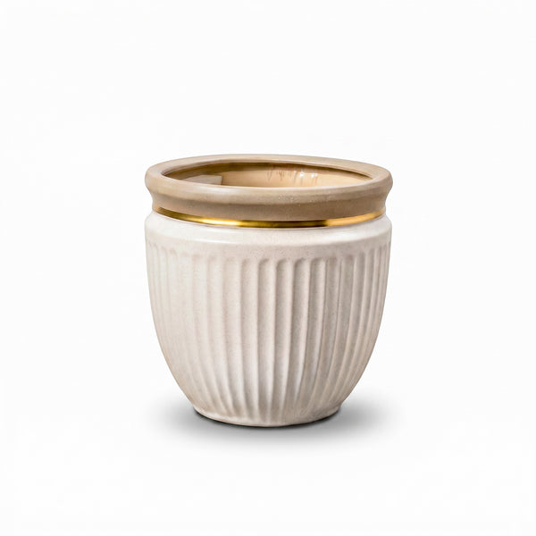 Gold Cream Ceramic Pot & Planter