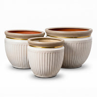 Gold Cream Ceramic Pot & Planter