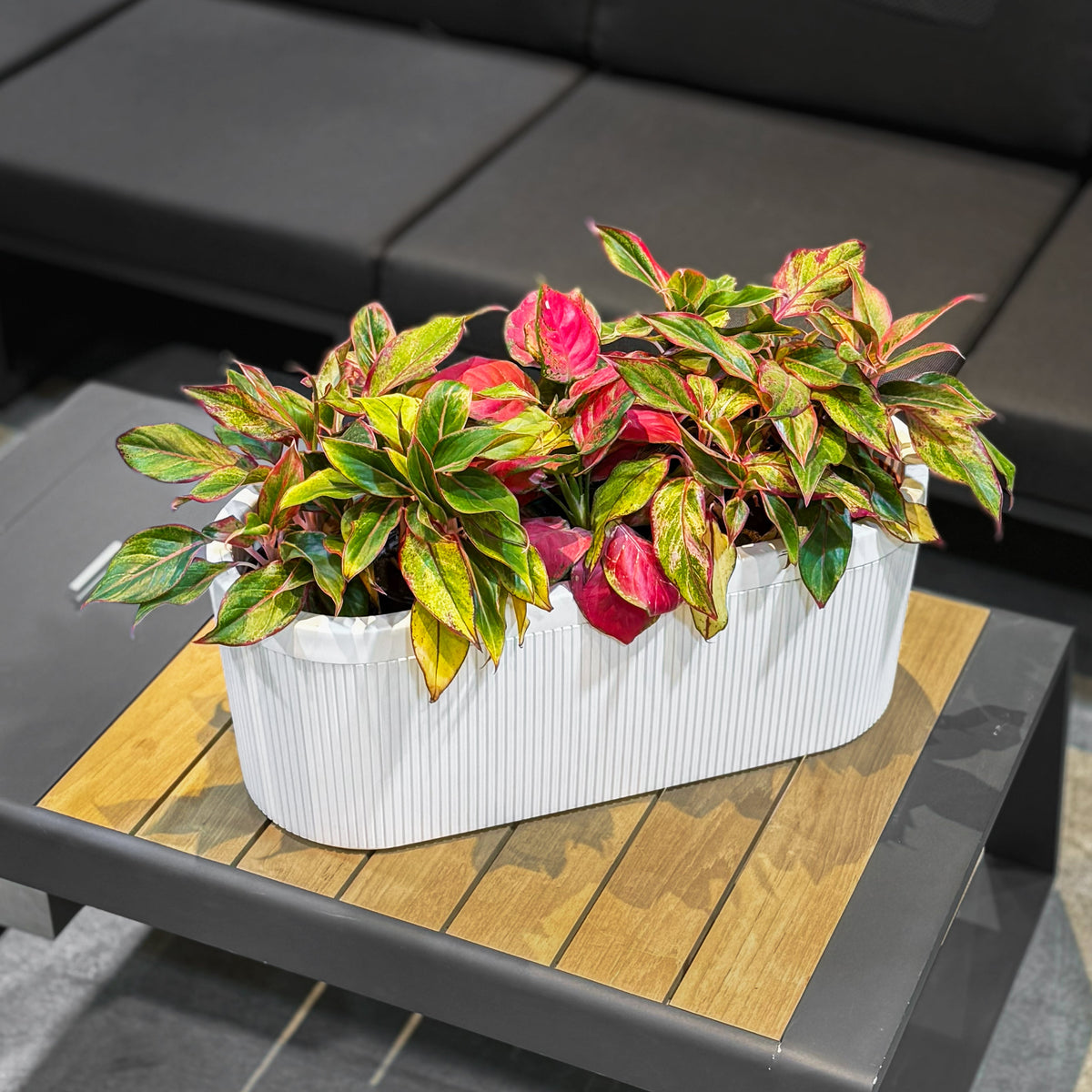 A white ribbed rectangular planter filled with colorful tropical foliage, placed on a modern outdoor coffee table in front of a dark gray sectional sofa.