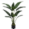 40 X 58 X 115cm  Birds Of Paradise Tree in Pot,12 Leaves(40X40X115CM)