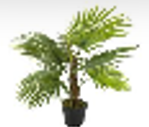 48 X 68 X 80cm  Fan Palm Tree In Pot,5 Leaves(40X40X70CM)