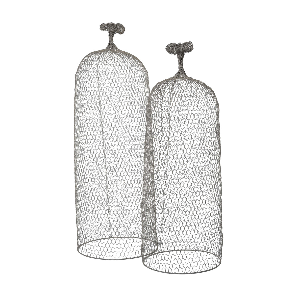 Wire Mesh Plant Protection Cloche